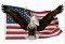 Campaign Bring Jobs Back it the USA Image Campaign Bring Jobs Back it the USA Image