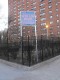 Campaign Bring Ron Jr back home Petition. Image Campaign Bring Ron Jr back home Petition. Image