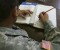Campaign Veteran GI Bill Education Benefits Should NOT expire after 10 years. Image Campaign Veteran GI Bill Education Benefits Should NOT expire after 10 years. Image
