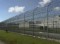 Campaign Petition to bring back federal Parole Image Campaign Petition to bring back federal Parole Image